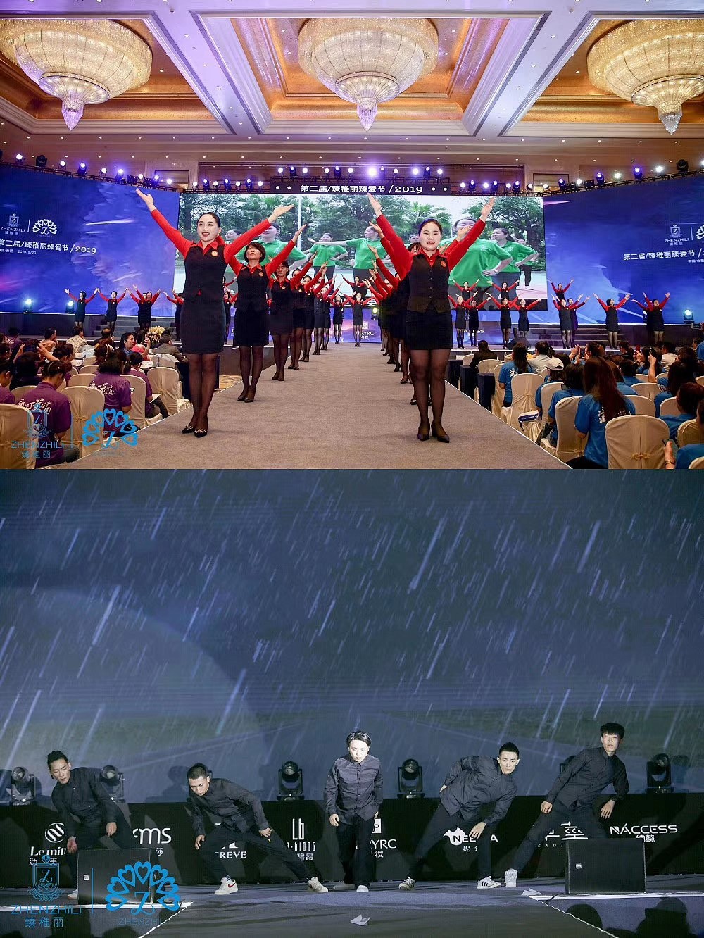 6.jpg 6.jpg